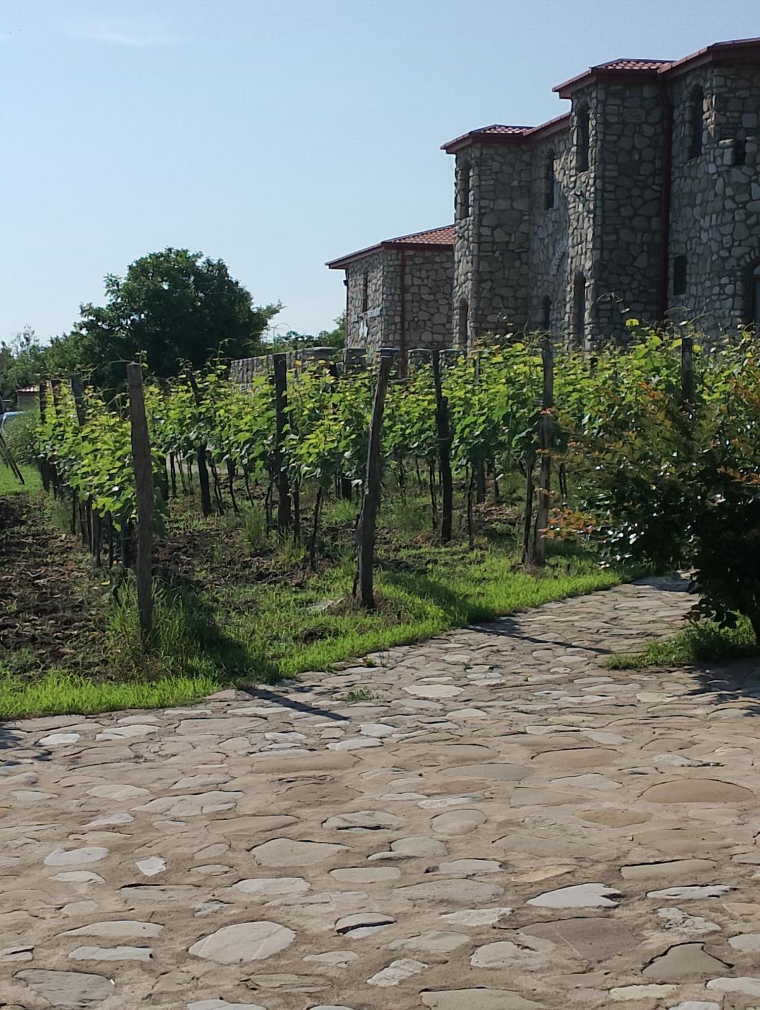 Chateau Tetri Bairagebi White Flags Kisiskhevi Exteriér fotografie